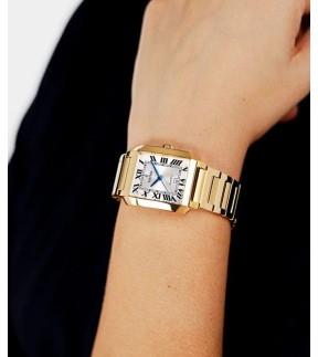 FESTINA Yellow Gold Stainless Steel Bracelet F20680/1