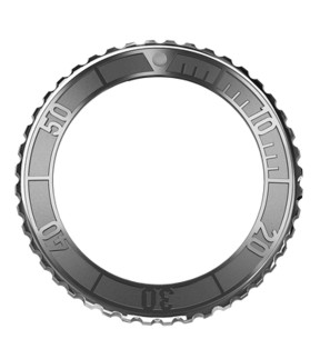 FORMEX Reef Stainless Steel Bezel 42 BEZ.2200.100