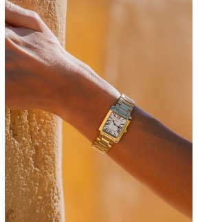JCOU Sierra Yellow Gold Stainless Steel Bracelet JU19080-3
