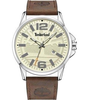 TIMBERLAND Bernardston Brown Leather Strap TDWGB2131802