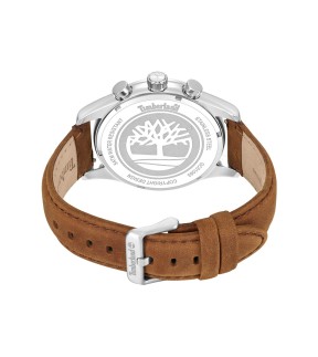 TIMBERLAND Ashmont Brown Leather Strap TDWGC0109301