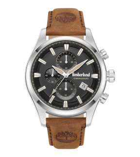 TIMBERLAND Ashmont Brown Leather Strap TDWGC0109301