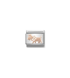 Nomination Composable Classic Link Ατσάλι Ασημί Με Ροζ Χρυσό 9Κ 430104/10