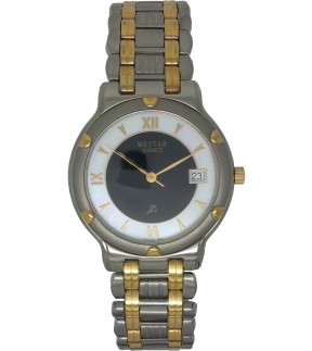 WESTAR Stainless Steel Bracelet