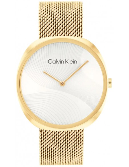 Calvin klein watch bracelet sales
