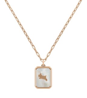 RADLEY LONDON Rose Gold Stainless Steel Necklace RYJ2214S