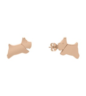 RADLEY LONDON Earrings Rose Gold Silver 925 RYJ1224